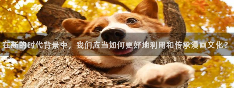 歪歪漫画站点：在新的时代背景中，我们应当如何更好地利用和传承漫画文化？